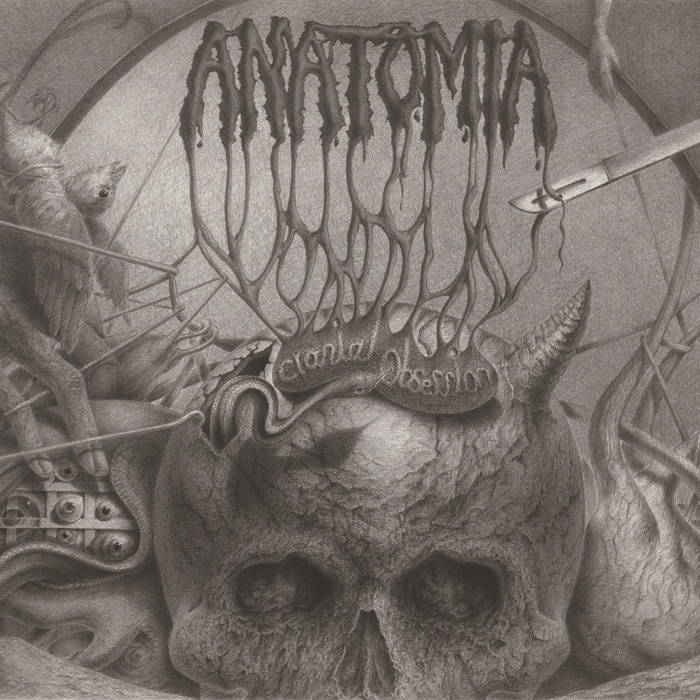 Anatomia - Cranial Obsession - Download (2017)